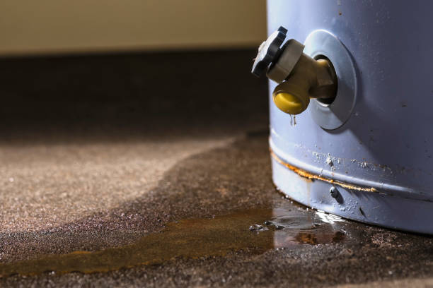Best Flood damage cleanup  in Salem, MO