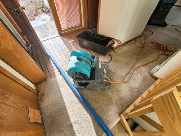 24/7 water damage repair in Salem, MO