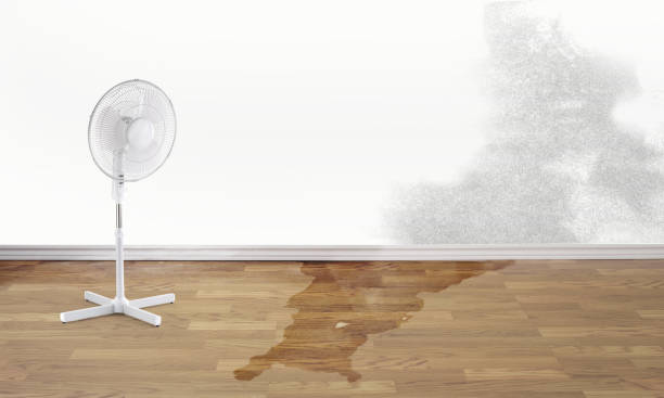 Water damage restoration mold remediation in Salem, MO