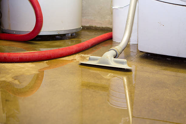 Best Water damage restoration near me  in Salem, MO