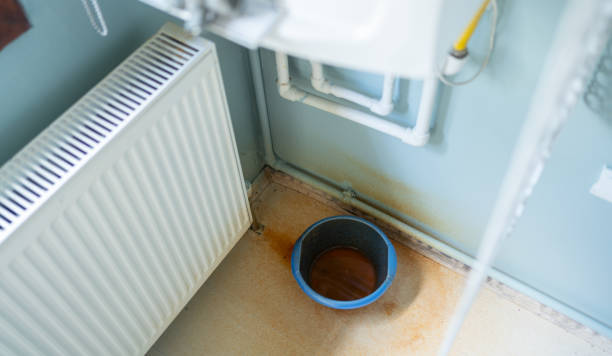 Best Water damage contractors near me  in Salem, MO