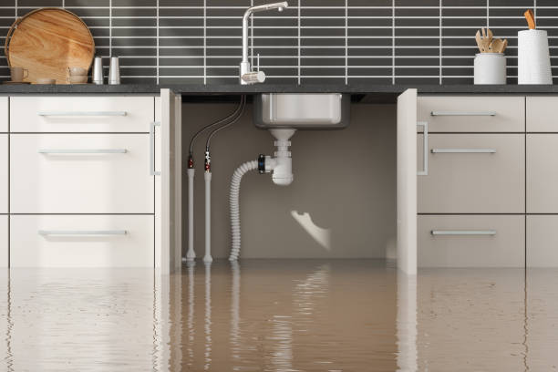 Best Water damage restoration company  in Salem, MO