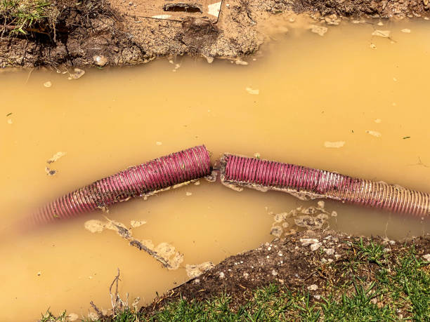 Best Sewage cleanup and water damage restoration  in Salem, MO