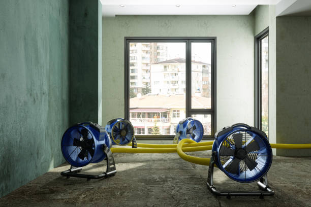 Reliable Salem, MO Water damage restoration Solutions