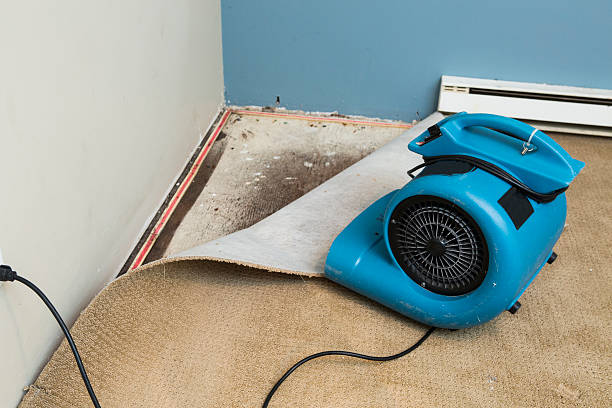 Water damage restoration process in Salem, MO
